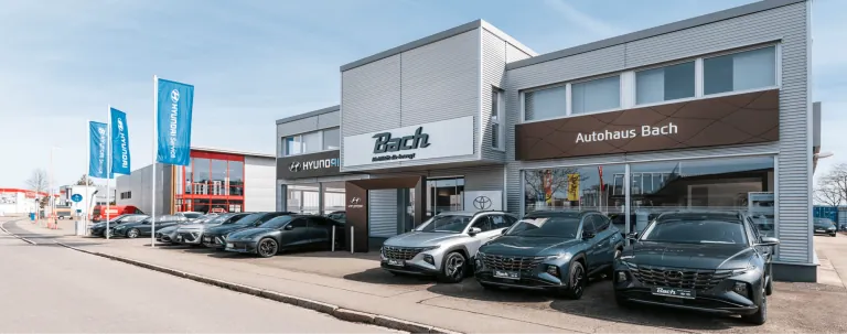 Foto vom Standort Donaueschingen